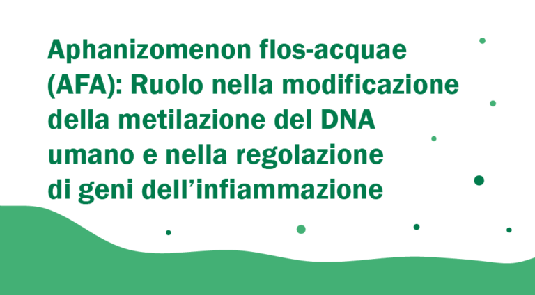 Aphanizomenon flos-acquae (AFA): Ruolo nella modificazione della metilazione del DNA umano e nella regolazione di geni dell’infiammazione